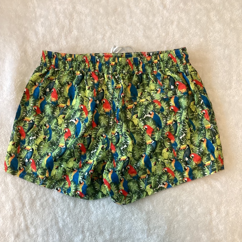 Fun and colorful parrots pattern – Ibiza swim shorts by 2xist - Picture 5 of 11